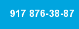 917 876-38-87